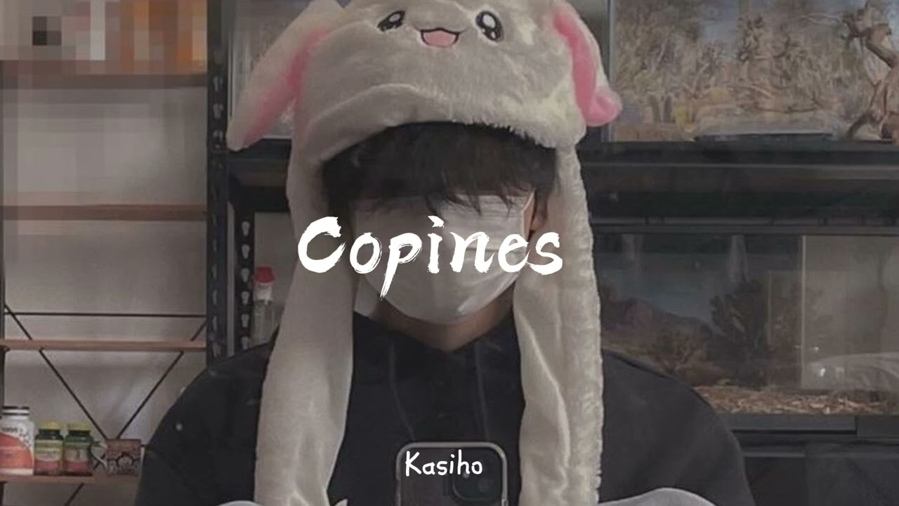 aya nakamura • copines // tiktok version // (𝗌𝗅𝗈𝗐𝖾𝖽 + 𝗋𝖾𝗏𝖾𝗋𝖻)