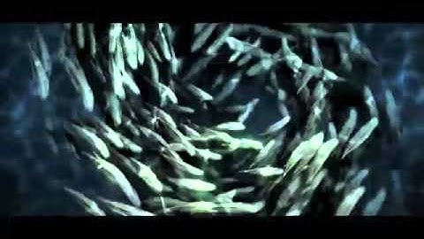 Architectural Programming 54020077