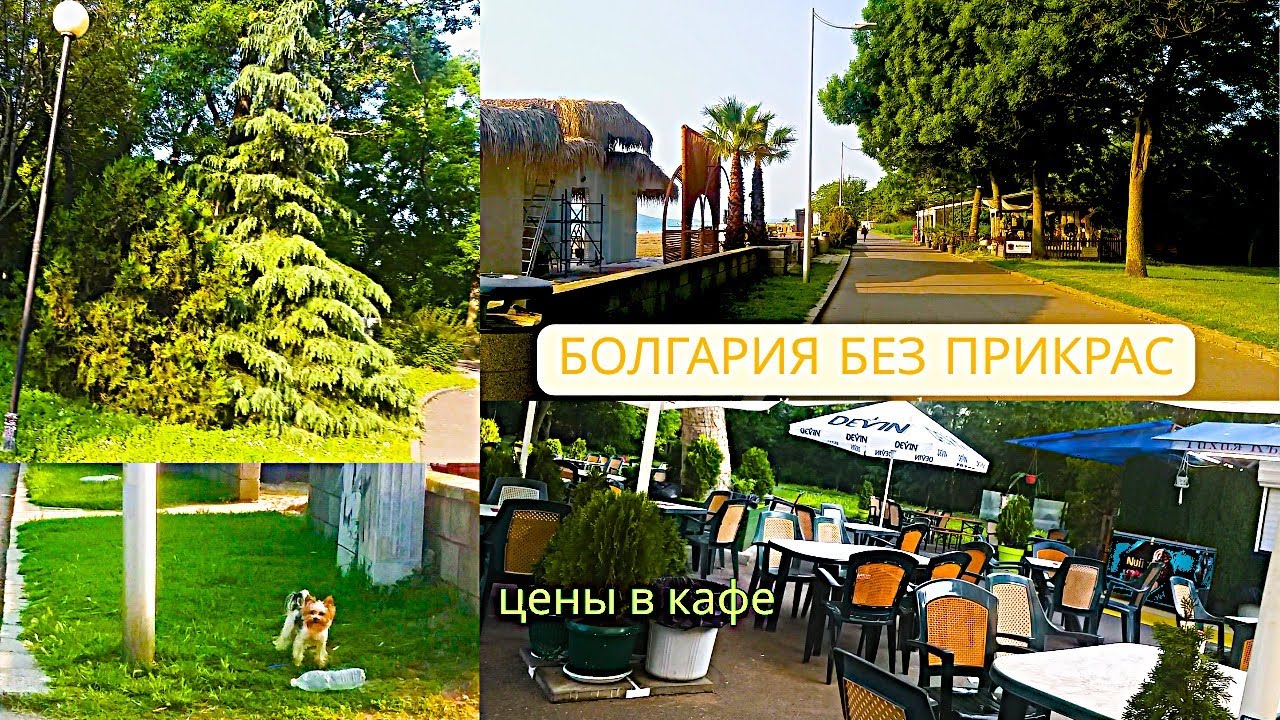 Как легко найти работу в Болгарии. Германия или Болгария?