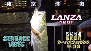 〈76回シーバスフィッシング〉東京湾奥豊洲運河バチパターンでランザ炸裂!