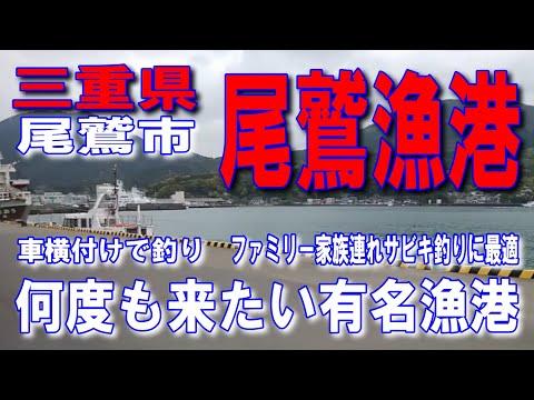 #6三重県尾鷲漁港釣り場車横付け釣り波止ファミリーのサビキ釣りに最適ガシラと小サバがつれます釣りポイントが広いので沢山の釣り人がいますアジが釣れます三重県釣り堤防アジング釣りポイント釣りスポット釣り場