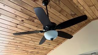 54" Hunter Channing ceiling fan