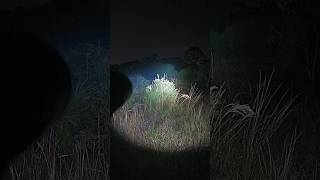 Daytime Paranormal The Pine Barrens PRT 1