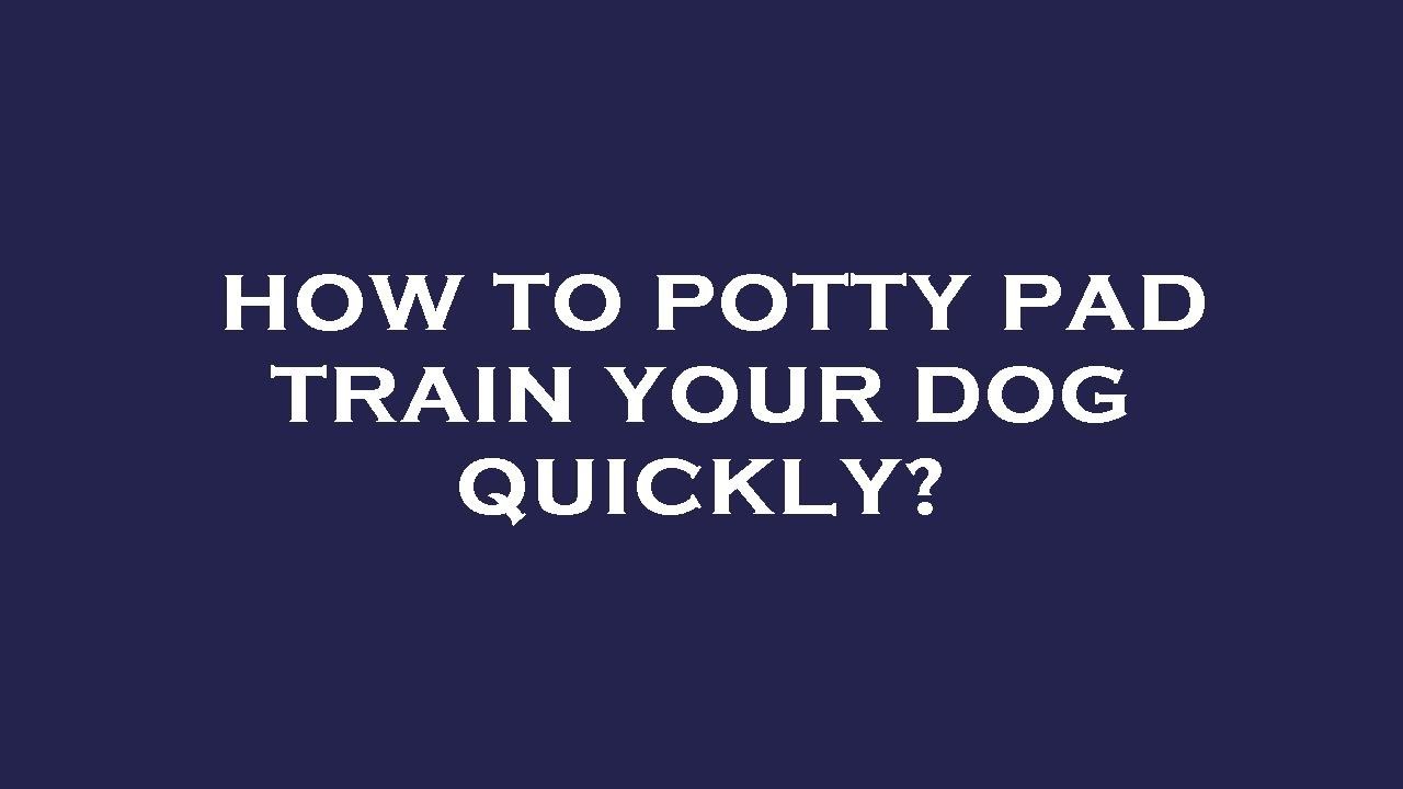 How to potty pad train your dog quickly? YouTube
