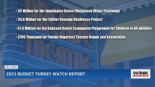 The 2023 Turkey Watch