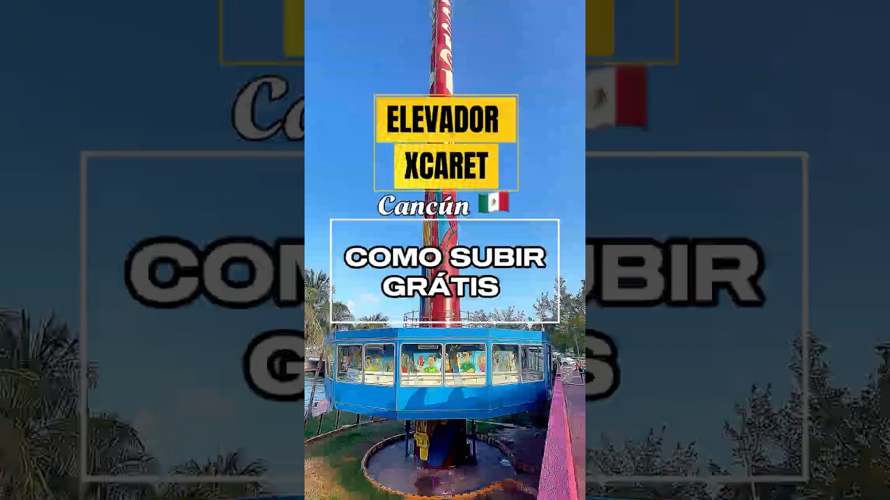 Um passeio que pode ser grátis: veja como 