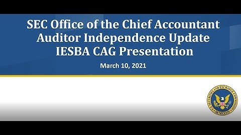 US SEC Staff Update to the IESBA Consultative Advisory Group on recent changes to SEC/PCAOB Rules