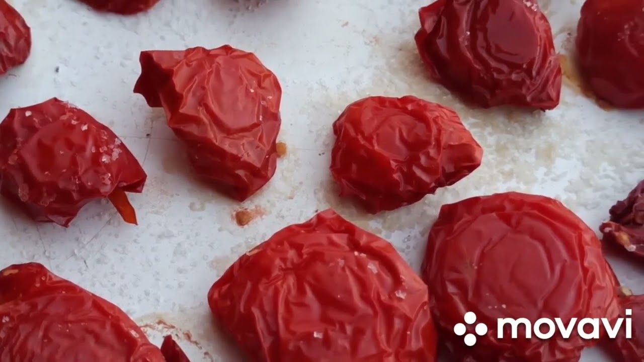 ПОМИДОР ҚОҚИ ТАЙЁРЛАШ