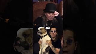 Download Lagu Ozzys favorite dog #theosbournes #theosbournespodcast #ozzyosbourne MP3 Download Lagu Ozzys favorite dog #theosbournes #theosbournespodcast #ozzyosbourne MP3