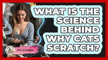 What Is The Science Behind Why Cats Scratch? - Happy Cat Handbook