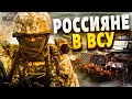 Россияне начали войну против Путина: в ВСУ создан новый батальон