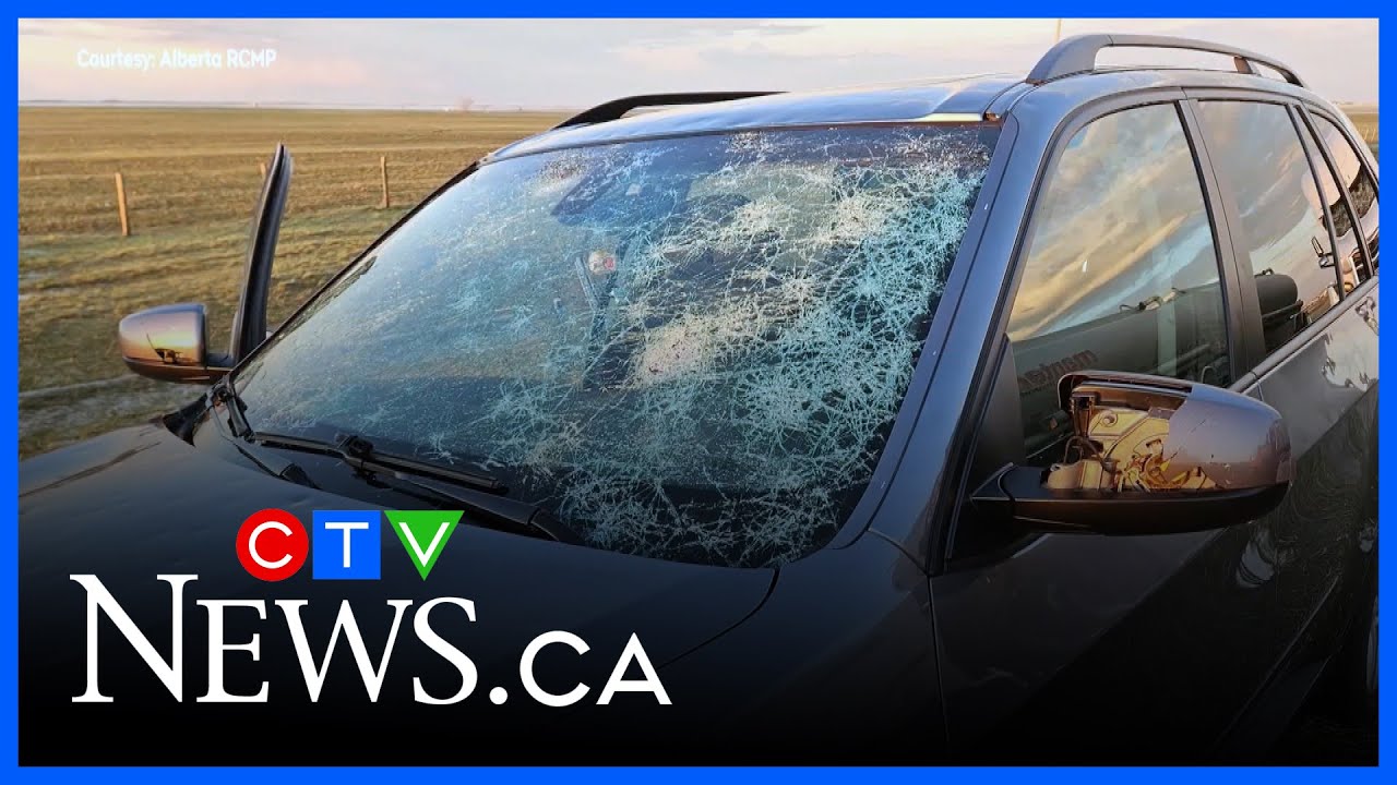 Heavy hail damage from Brooks thunderstorm