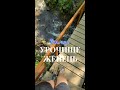 Урочище Женець: водоспад Женецький Гук, полонина Залім. Що відвідати біля сіл Микуличин і Татарів?