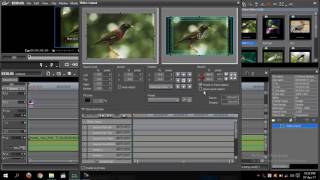 Edius  6,7, 8, Calar Effects babohar korben - Bangla tutorial - Faruk Media tv |