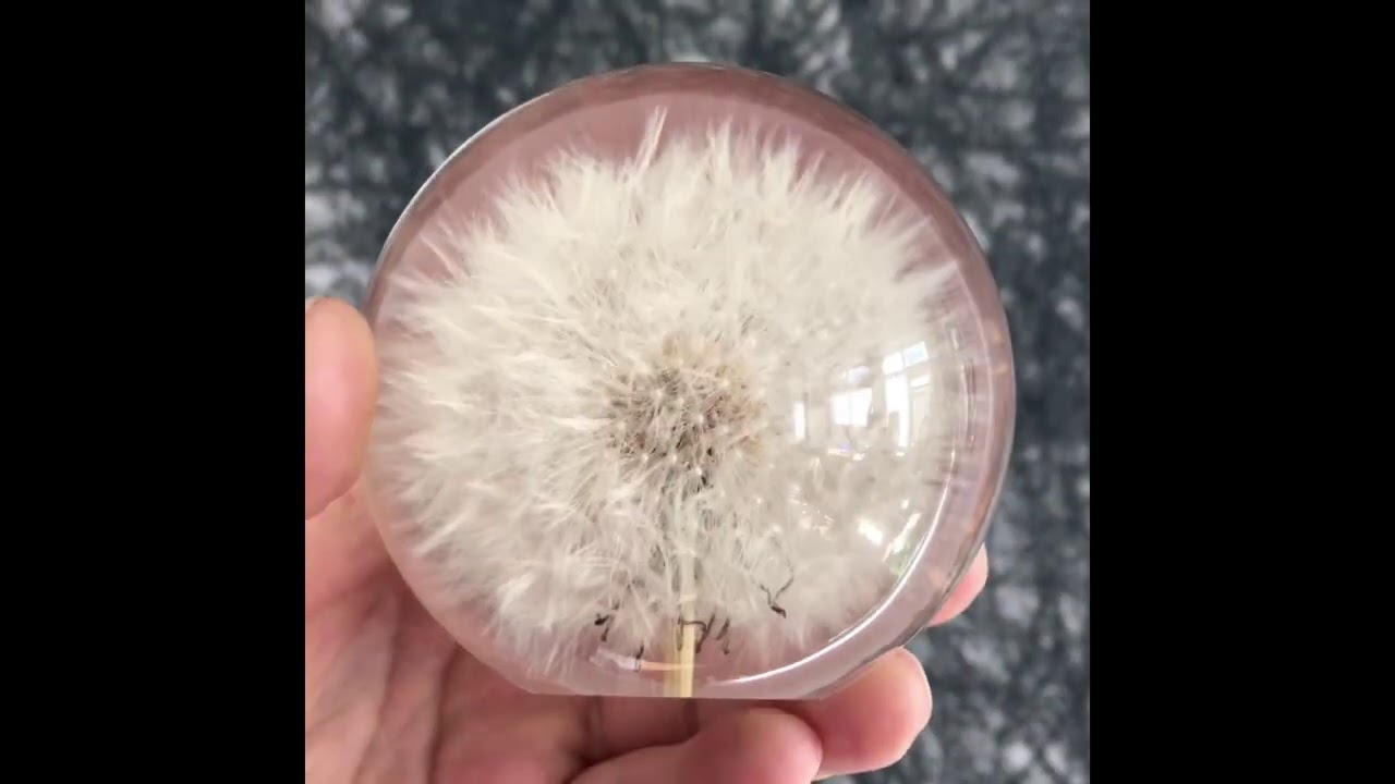 Sustainable Plant Based Eco-Resin Sphere Paperweight - Dandelion