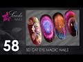 5D Cat Eye Magic Nails ❀ Magnetic Nail Polish In Action