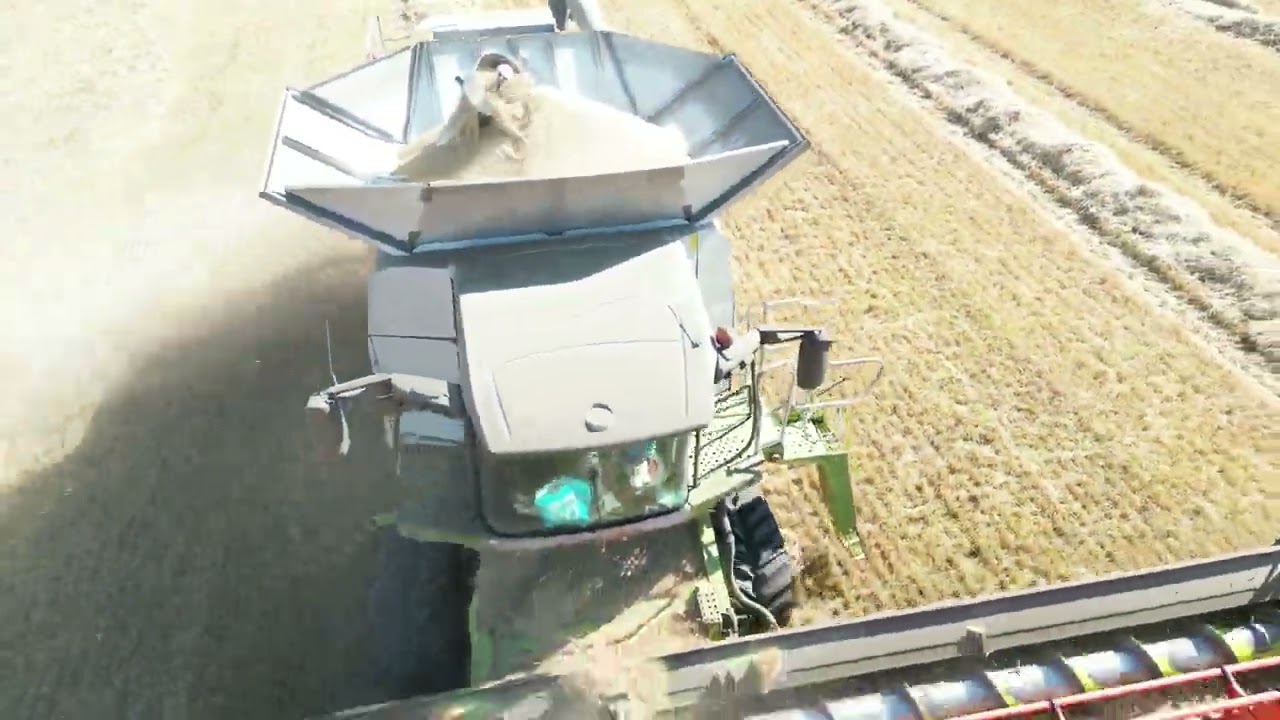 Upper Brownhill harvest 2022 YouTube