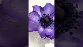 WAFER PAPER Flower Anemones  ˚˖𓍢ִ໋🌷͙֒✧˚.🎀༘⋆