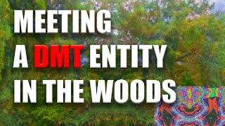 DMT Trip replication - Psilocybin Mushroom - Meeting an entity in the woods