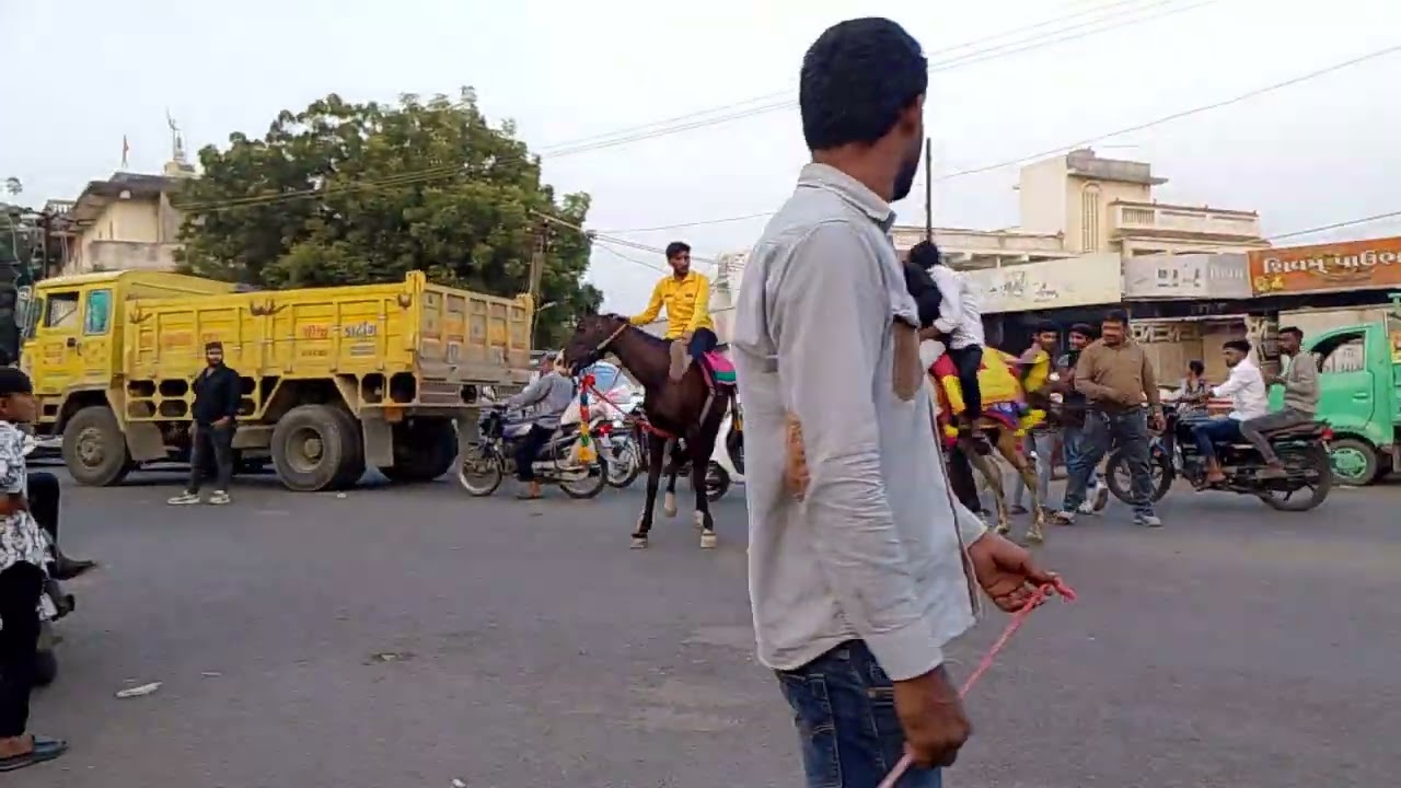 કાઠીયાવાડ સૌથી મોટું ફુલેકુ ઘોડીઓને ઘોડીયુ ભેગી કર્યું