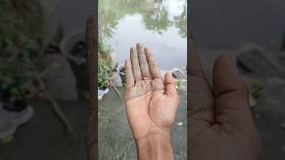 How to make donuts diffrently - foodiebeats tiktok trend - fun for kids - short video CuciTangan
