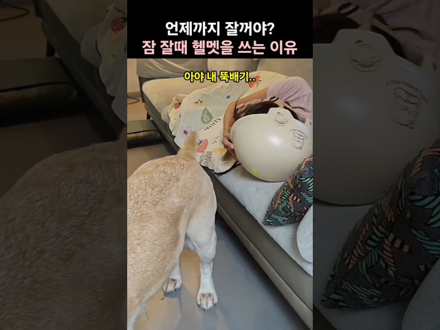 잠 잘때 헬멧을 쓰고 자는 이유