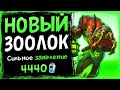 Эта НЕВЕРОЯТНАЯ колода УДИВИЛА всех — Новый Пейн Зоолок 2021  | Hearthstone