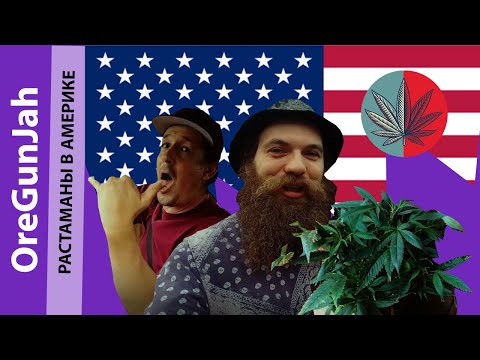 Растаманы в Америке ( 2020 )