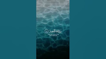 تلاوة تريح أعصابك 🎧🌨️ || رعد الكردي 💜 || حالات واتس اب قُرآن 🥰