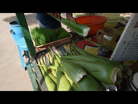 Amazing Street Alovle Vera Juice of Hyderabad | Indian Street Food