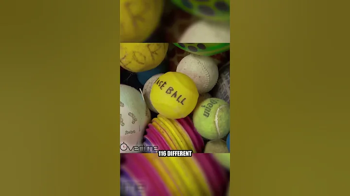 The smartest dog in the world | 60 Minutes Archive