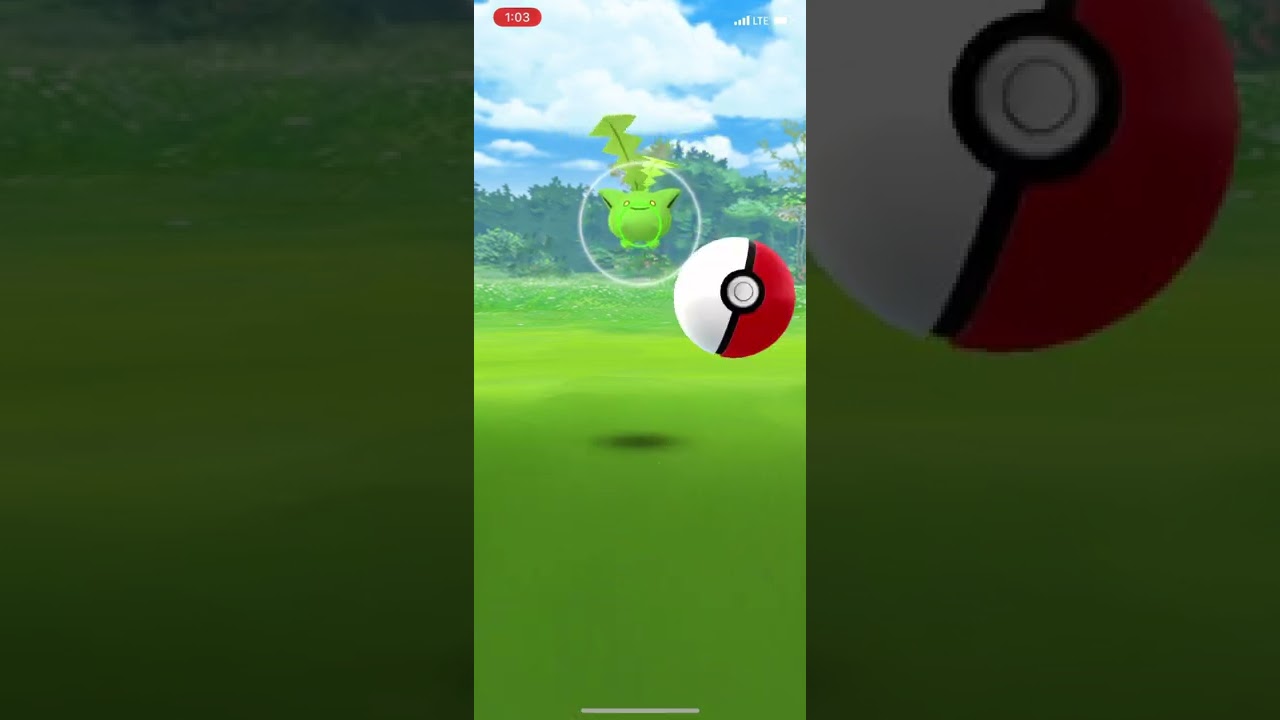 Hoppip Community Day 2022!