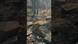 𝐒𝐌𝐀𝐋𝐋 𝐒𝐏𝐀𝐂𝐄. 𝐁𝐈𝐆 𝐈𝐌𝐏𝐀𝐂𝐓.