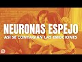 NEURONAS ESPEJO y empatía: así se contagian las EMOCIONES