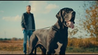 Raiffeisen-Märkte Kinospot "Hundeleine" mit Norbert Heisterkamp | Werbefilm Werbevideo Münster screenshot 5