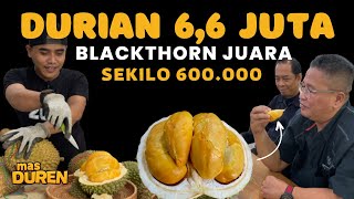 DURIAN SEHARGA 6,6 JUTA ⁉️ RASANYA MEMANG BEDA #durian #duriandurihitam #masduren