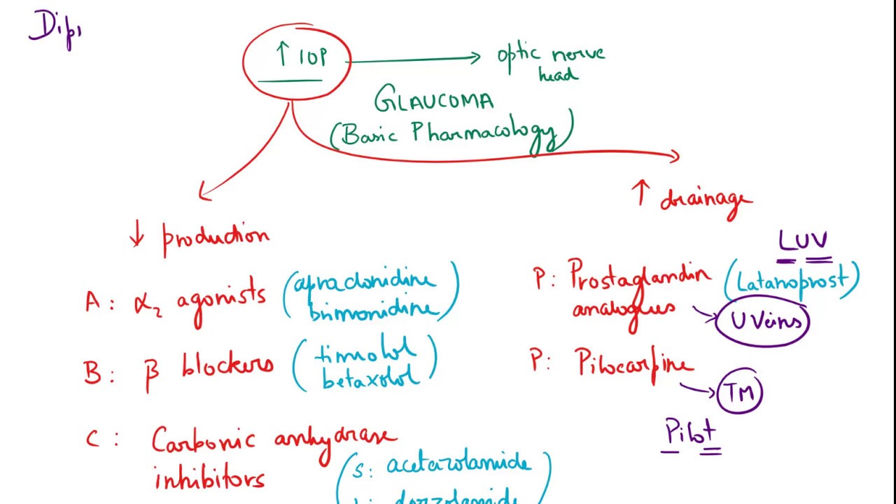 Drugs used in glaucoma - Pharmacology Review - YouTube