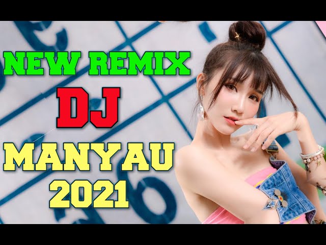 NEW REMIX DJ MANYAU 2021 | DJ REMIX MANDARIN 2021 #TOPAN88 class=