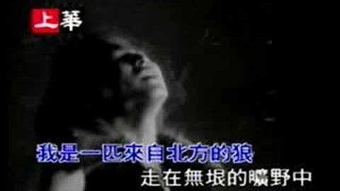 齐秦 狼 - 天天要闻