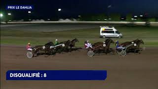 Vidéo de la course PMU PRIX LE DAHLIA