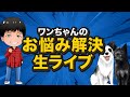ワンちゃんのお悩み解決生ライブ