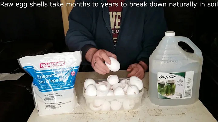 DIY Cal-Mag for Plants - Why Didn't I Think of That?