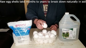 DIY Cal-Mag for Plants - Why Didn