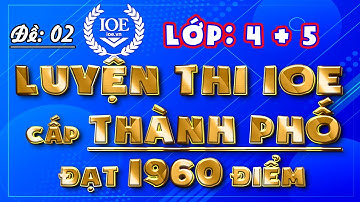 Thi ioe lớp 4 cấp tỉnh - cấp thành phố, có đáp án