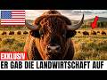 Ein Milliardär Gab Seine Ranch Auf Und Überließ Sie Den Bisons - Was Dann Geschah, Verblüffte Alle