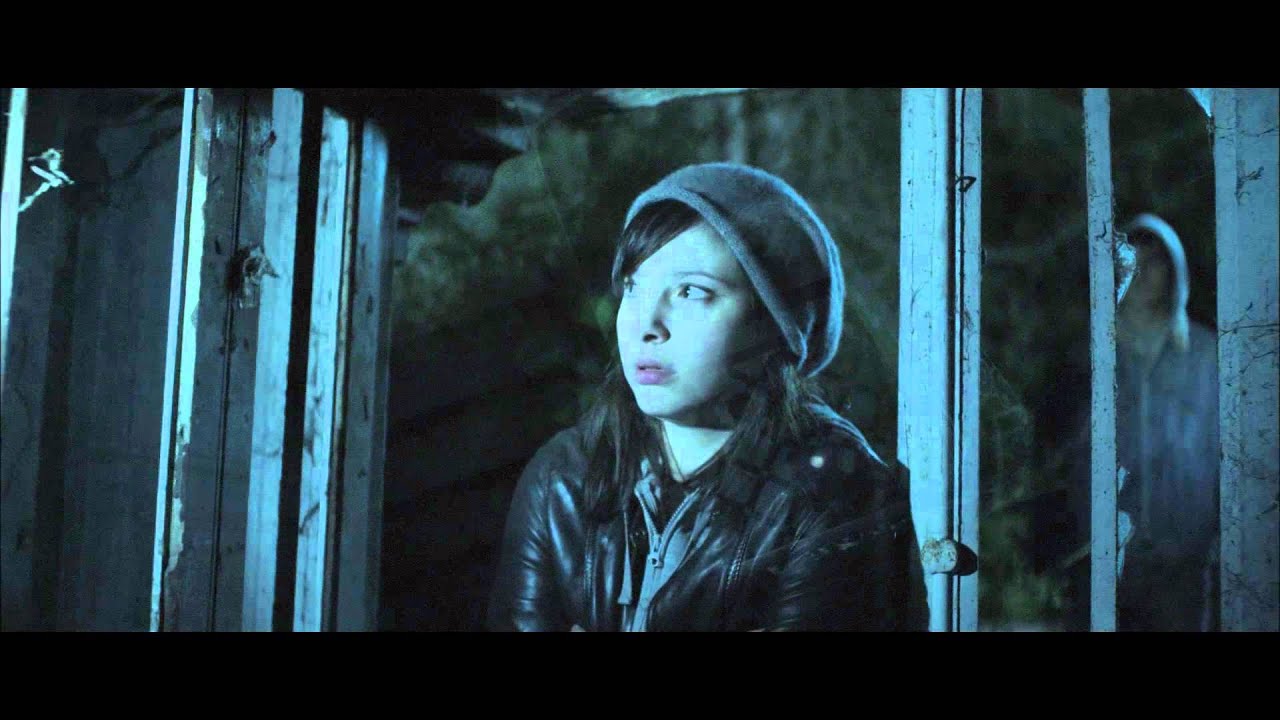 スプラッター だけど精神的にも怖いフランスのホラー映画 マーターズ 屋敷女 ハイテンションなど うらなか書房のあやしいグッズあり〼