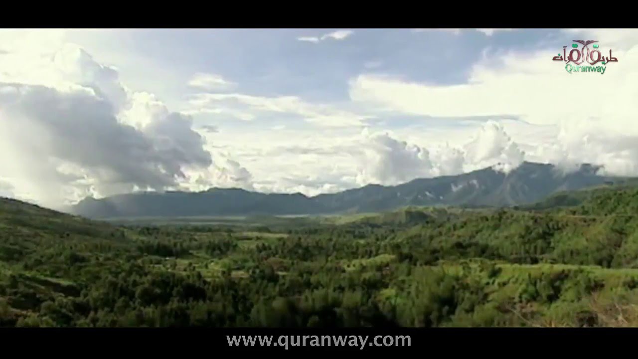 شلومو שְׁלֹמֹה