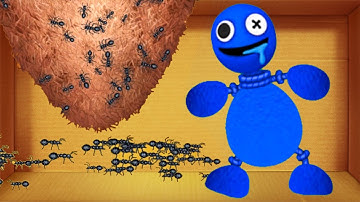 RainbowFriends vs Anthill - Kick The Buddy  Android Gameplay Walkthrough ( Android/IOS )