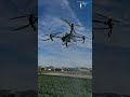 How the DJI T50 Agricultural Drone is Revolutionizing Modern Farming😱 | Explained | #didyouknow