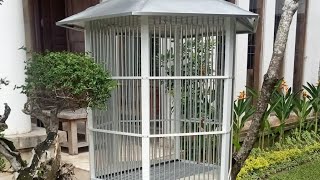STARLING BIRD CAGE AND MYNAH BIRD CAGE